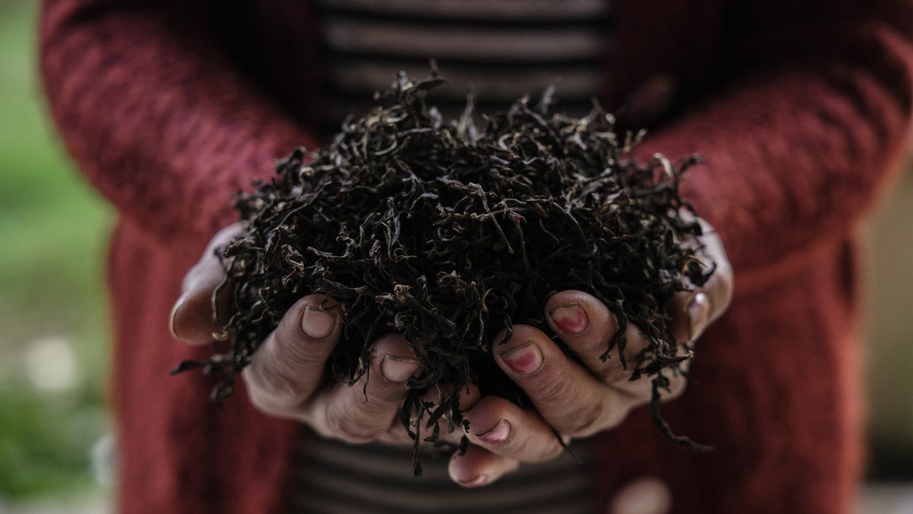 Caffeine Myths: Why Green and White Tea Don't Have Less of It Than Black Tea