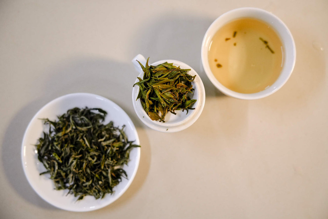 Water & Tea: Does It Really Matter What You Brew With?