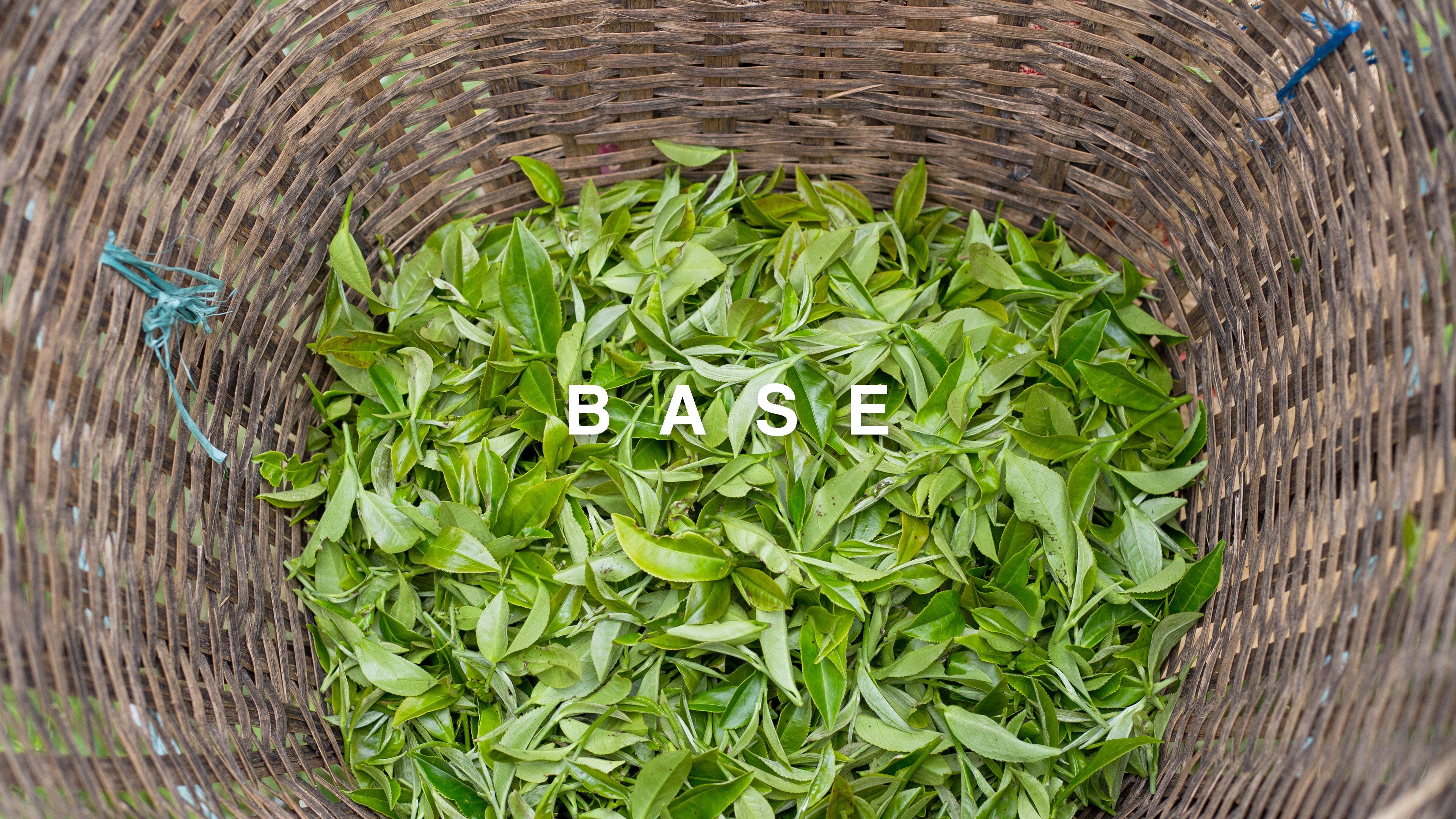 Base Tea